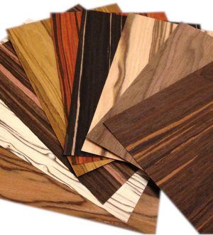 Wood Veneer Samples Set