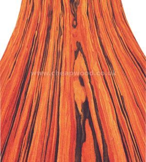 Brazilian Rosewood