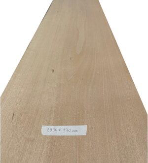 Beech wood veneer