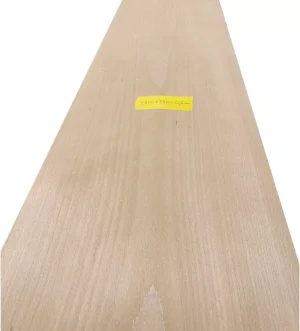 Beech wood veneer