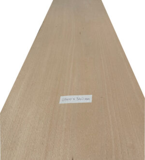 Beech wood veneer